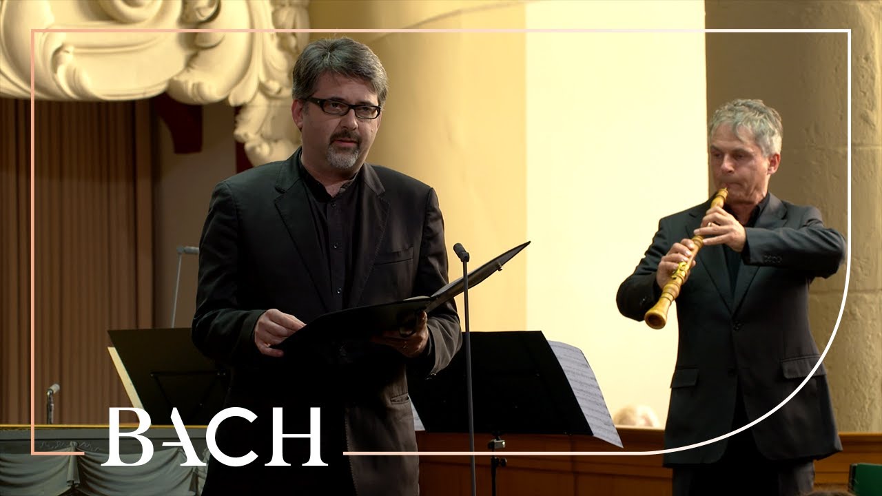 Bach - Cantata Sehet, wir gehn hinauf BWV 159 - Van Veldhoven | Netherlands Bach Society