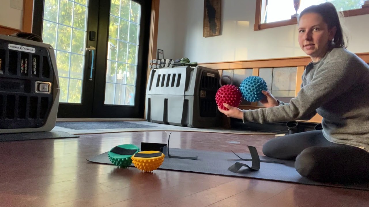 k9 conditioning pods