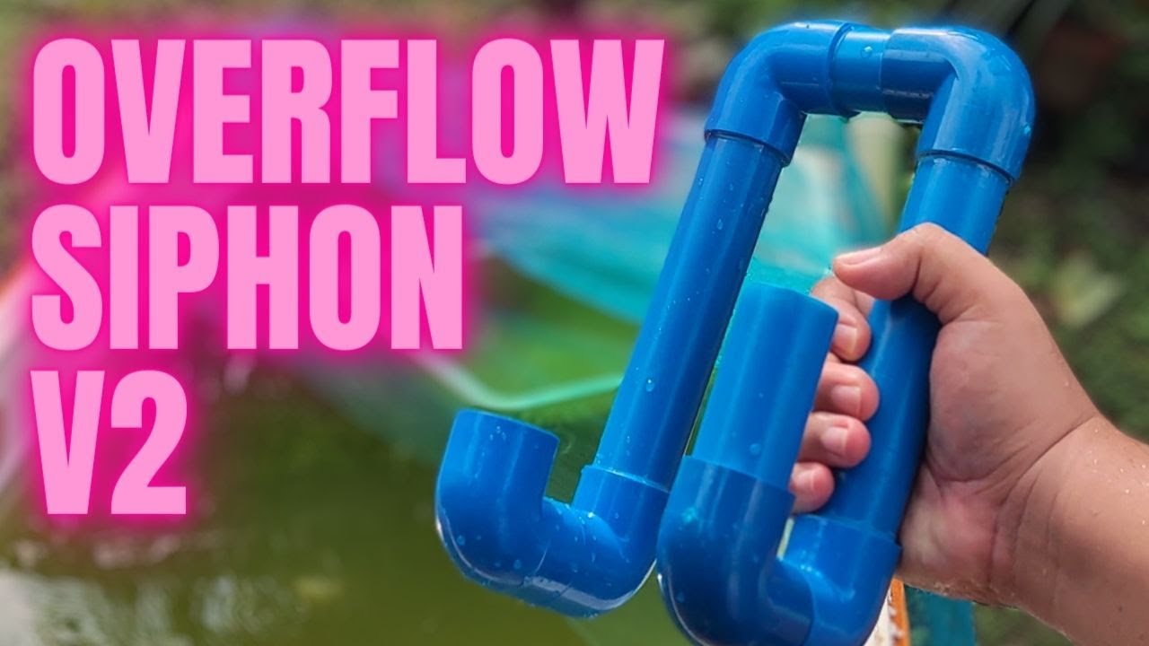 DIY OVERFLOW SIPHON VERSION 2 FOR MY OUTDOOR FISH TUB