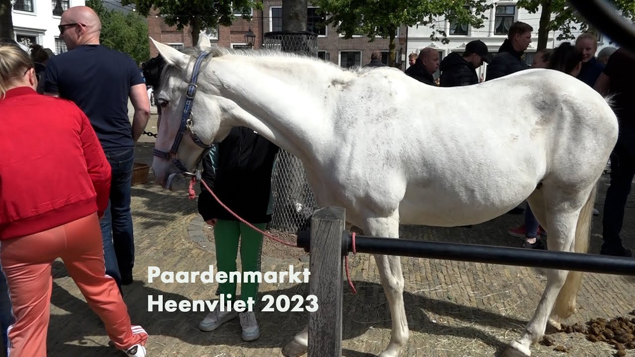 Paardenmarkt Heenvliet 2023