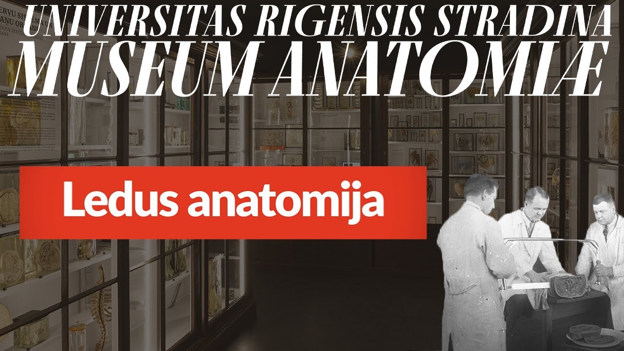 Ledus anatomija // Ice anatomy // Ледяная анатомия