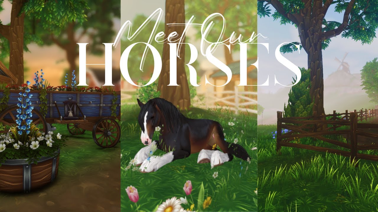 Meet Our Horses! || SSO RRP