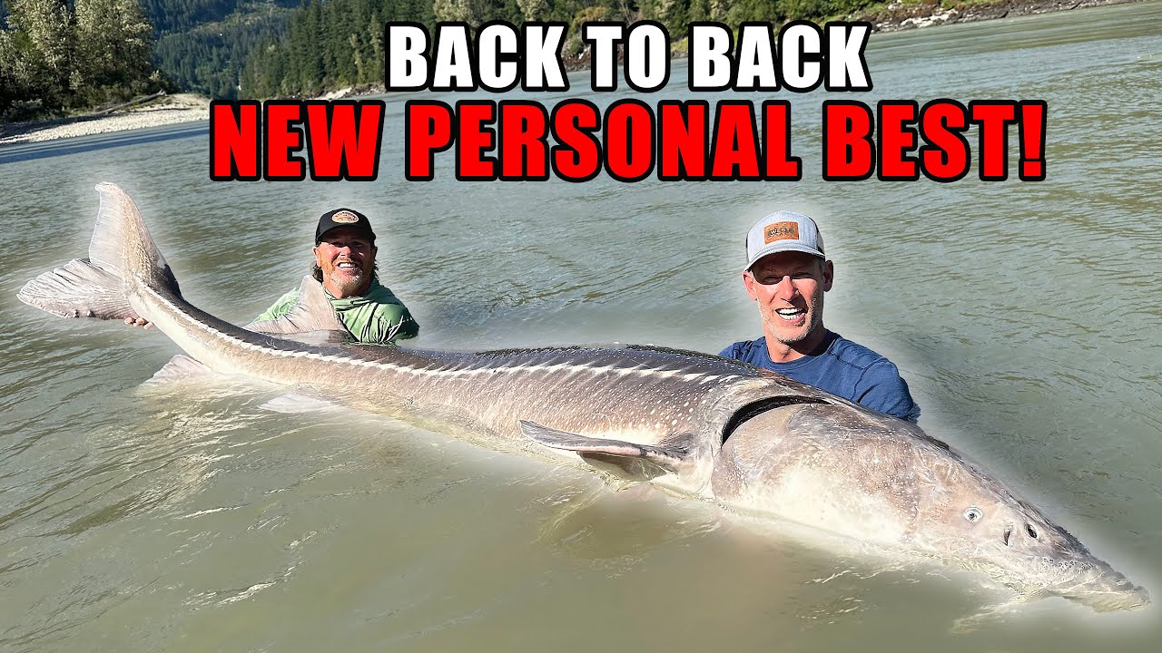 Reeling in 1,000lbs of MONSTER FISH with Yves Bisson