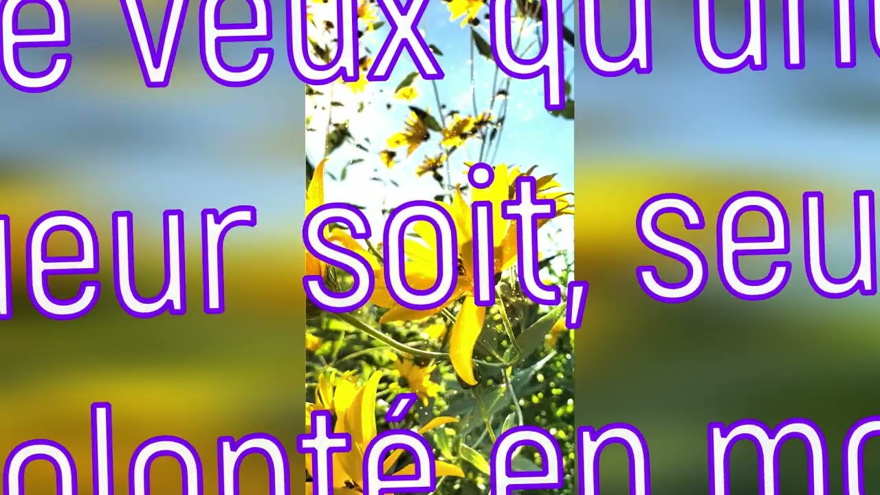 Je veux .