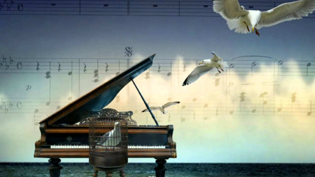 Elijah Bossenbroek - I give up