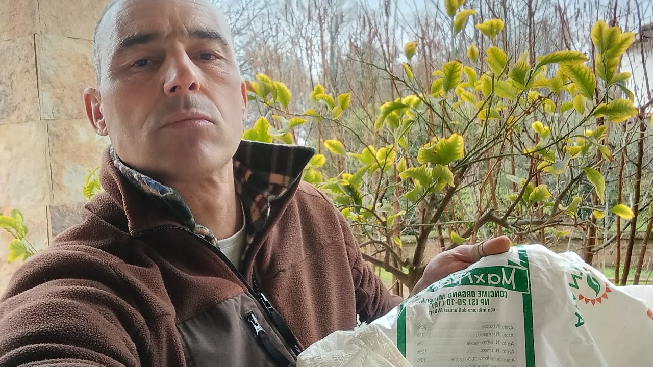 LE CONCIMAZIONI..... GLI AZOTI.... IL DILAVAMENTO..... QUALI SCEGLIERE E QUANDO UTILIZZARLI...?!🌿🌿