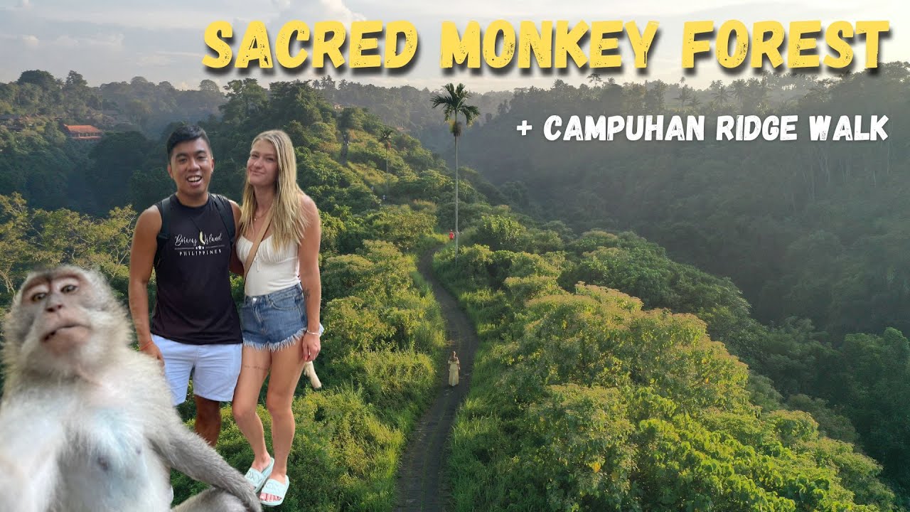 Things to do in UBUD in 2022 🇮🇩 (Monkey Forest & Campuhan Ridge Walk)