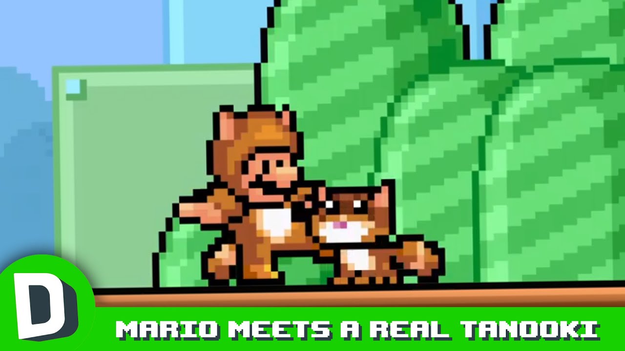 Mario Meets a Real Tanooki