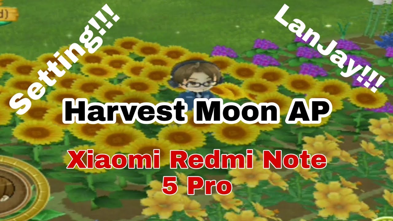 Setting Harvest Moon Animal Parade Dolphin MMJ