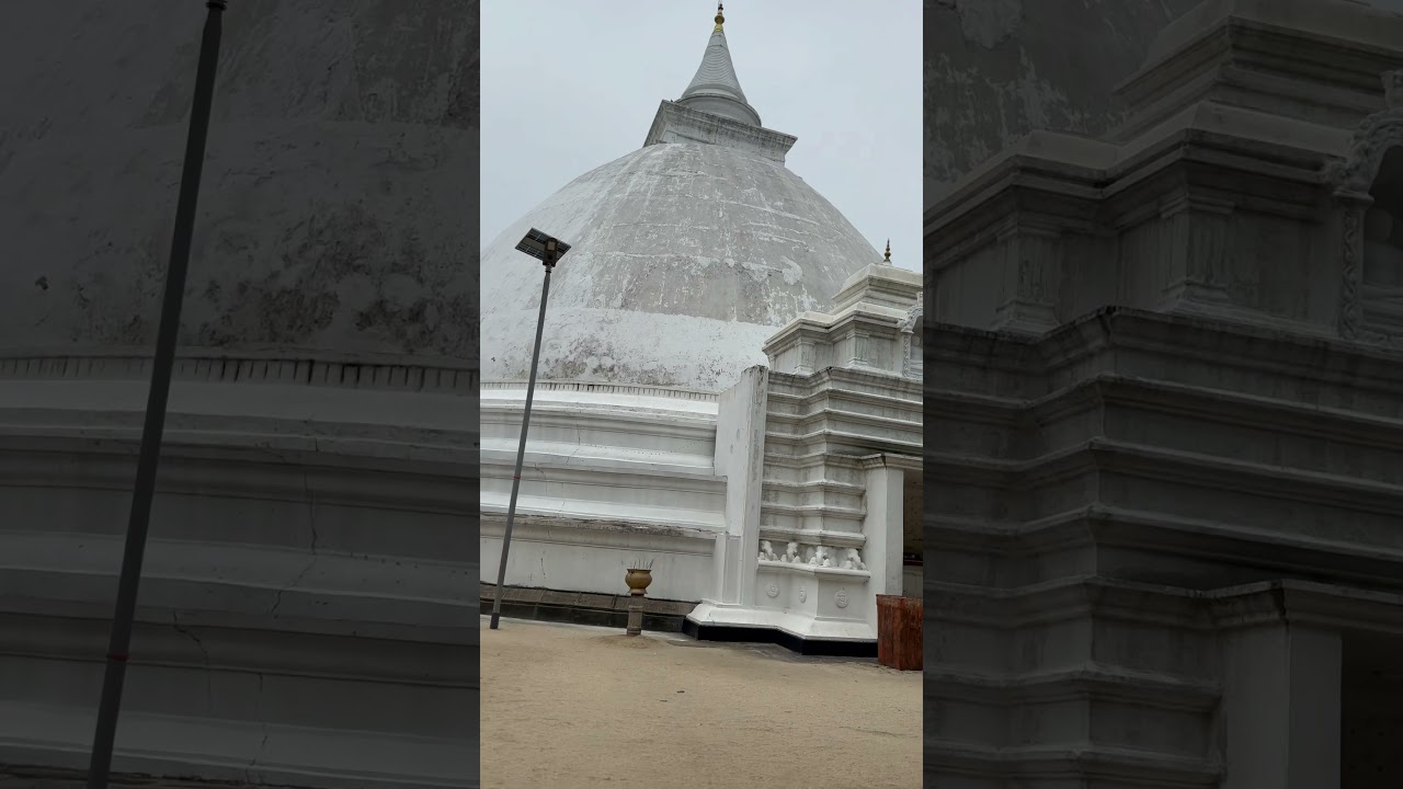 Kalaniya Temple #travel #buddha #italy #europe #kalaniya #shortvideo #thailand #vatican #india #usa