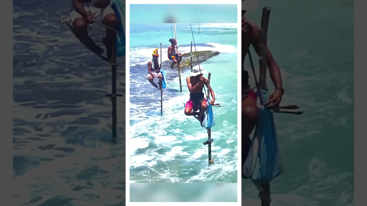 Почему на Шри-Ланке рыбачат на ходулях?