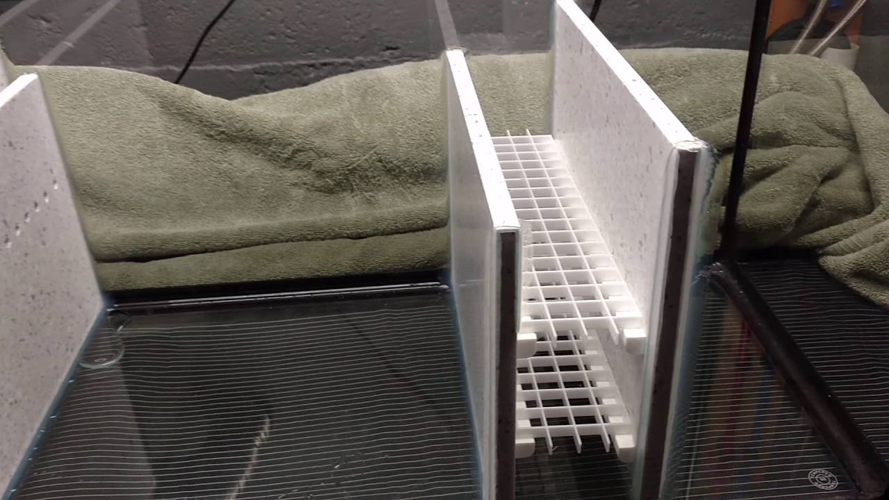 DIY reef sump complete.