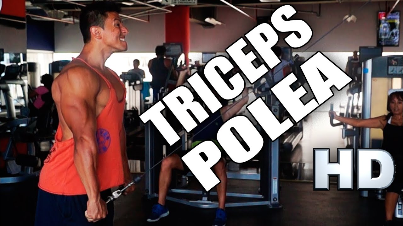 TRICEPS CON POLEA. Cómo Desarrollar Más Tus Triceps con la Polea