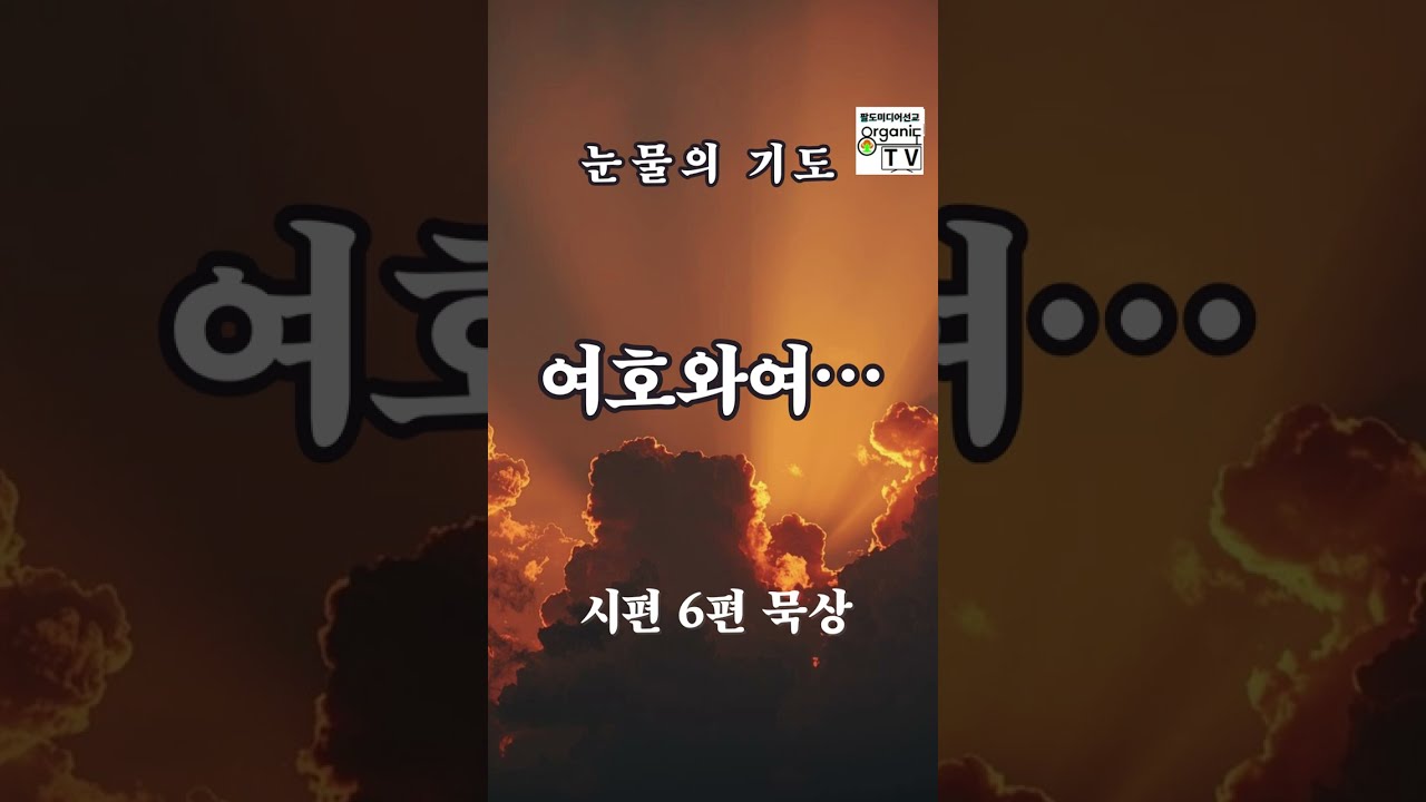 시편 6편 | 눈물의 기도 | 여호와여 나를 불쌍히 여기소서3분 말씀 찬양#시편6편 #회개의기도 #묵상찬양 #성경말씀 #기도영상