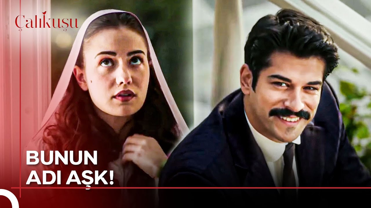 Sevdiceğimi Yalnız Bırakmam! | Çalıkuşu