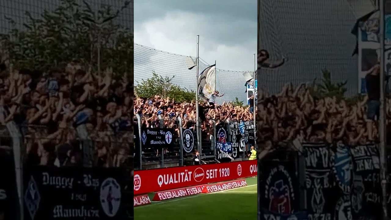 Waldhof Fans in Elversberg | Woodles 💙🖤