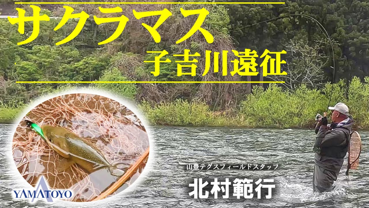 秋田 サクラマス　子吉川遠征