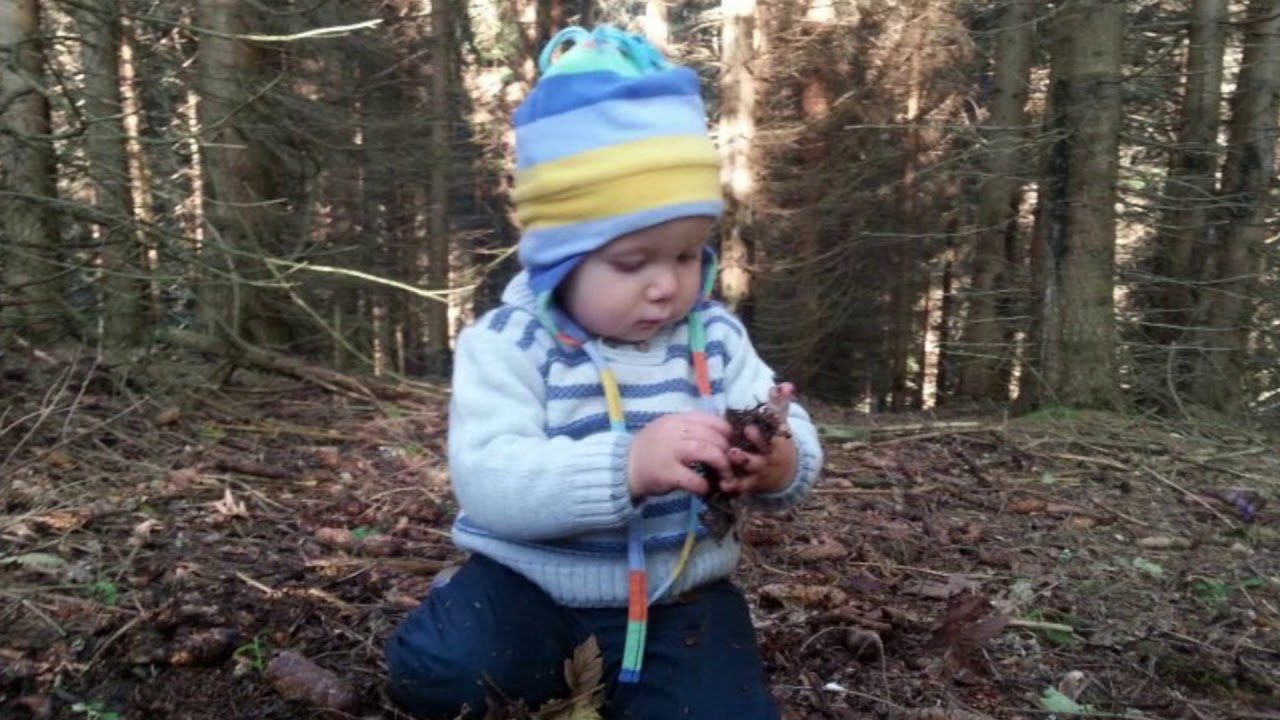 SIMRA Innovation Action - Community participation for forest value and human wellbeing