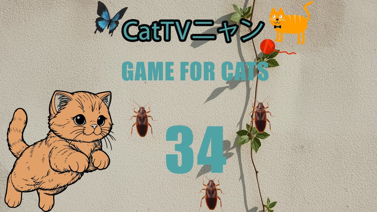 猫の本能全開！5時間の狩りタイム🎯 | CatTVニャン #34