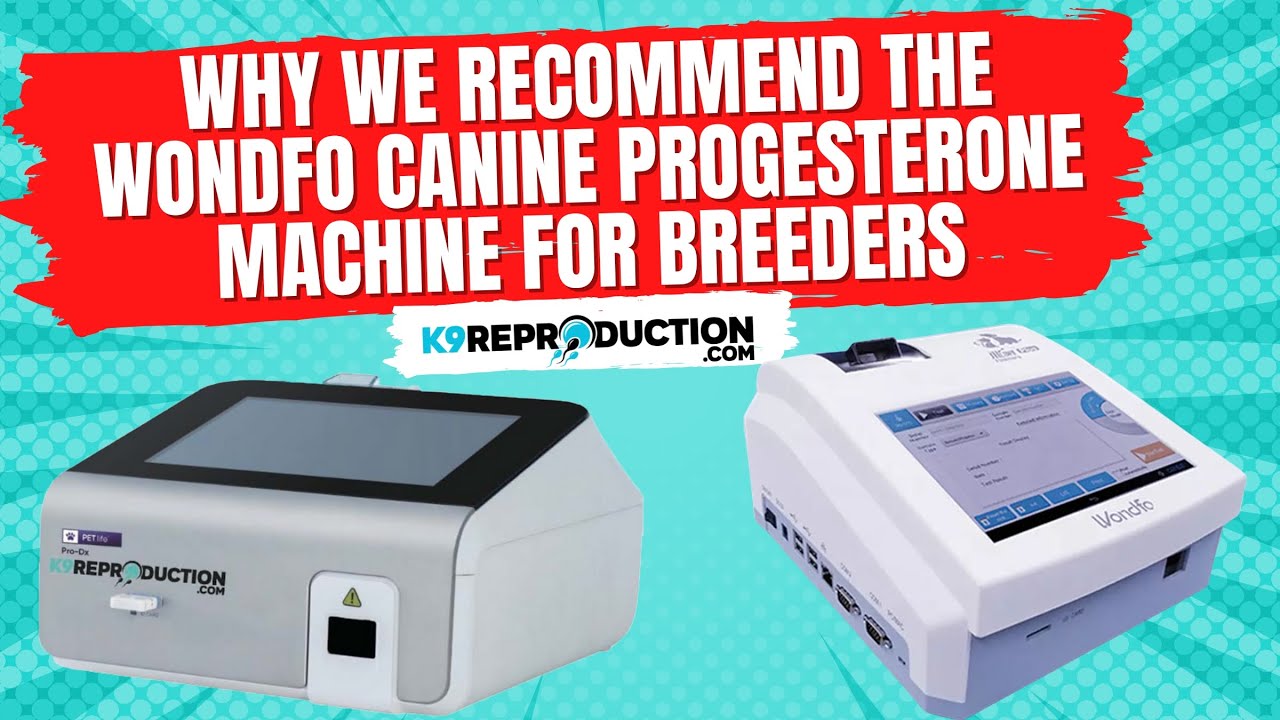 Why the Wondfo Canine Progesterone Machine Is a Must-Have for Breeders!