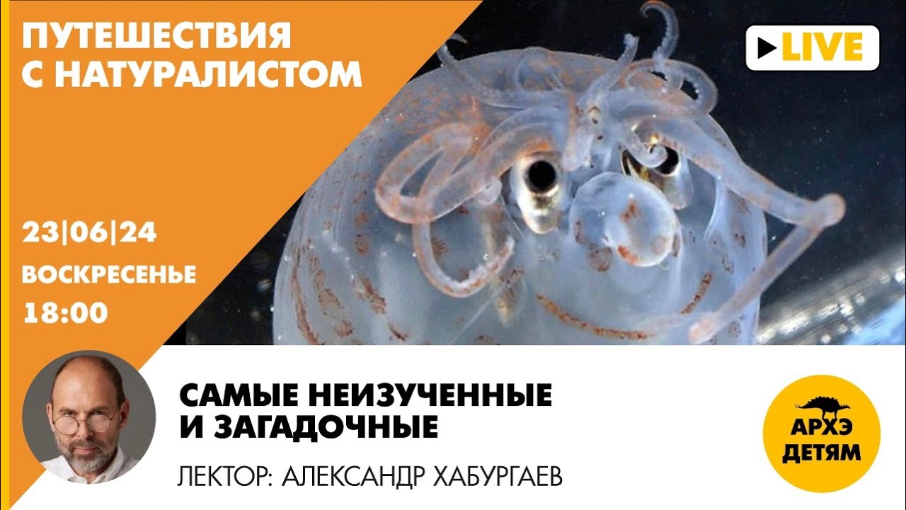Занятие 
