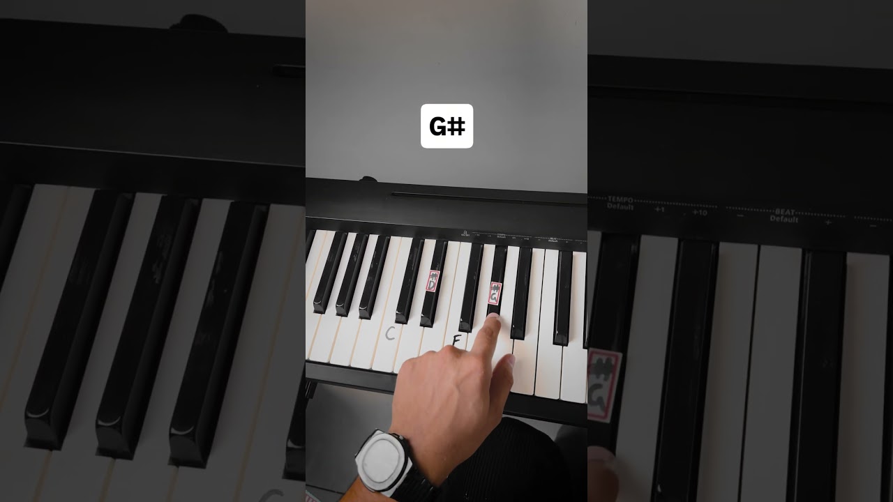 Сапна Джахан — Easy Piano Tutorial 