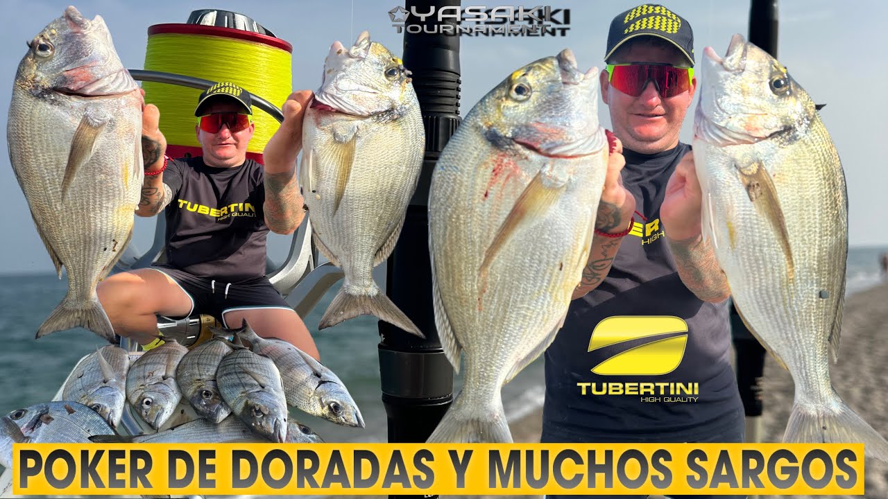 💥POKER DE DORADAS PICADAS EN DIRECTO😲PESQUERON EN SOLITARIO SURFCASTING MUCHOS SARGOS CON MAL TIEMPO