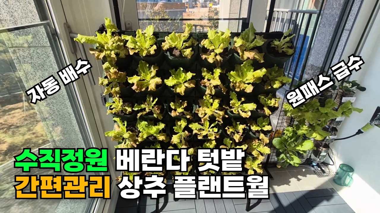수직정원 베란다 텃밭! 자동 배수 원패스 급수 간편한 관리 플랜트월
