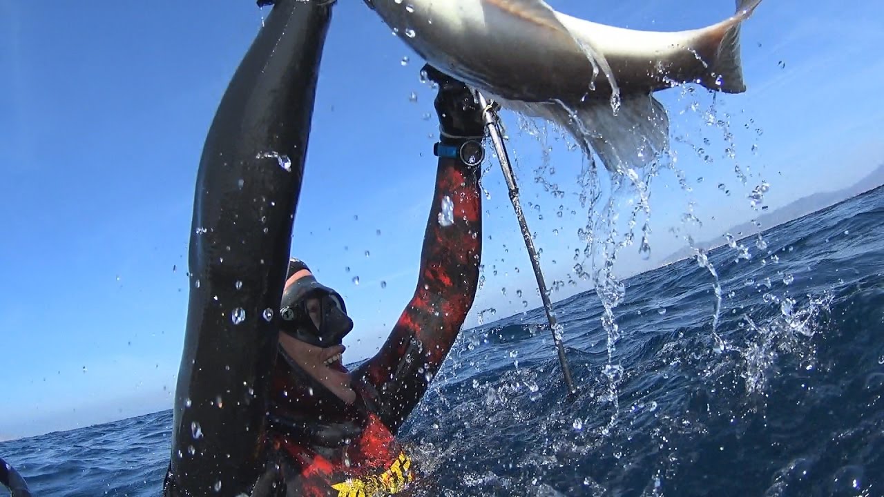 Pole Spearfishing Greece vol.2 115 ft deep-Υποβρύχιο ψάρεμα με καμάκι  vol.2