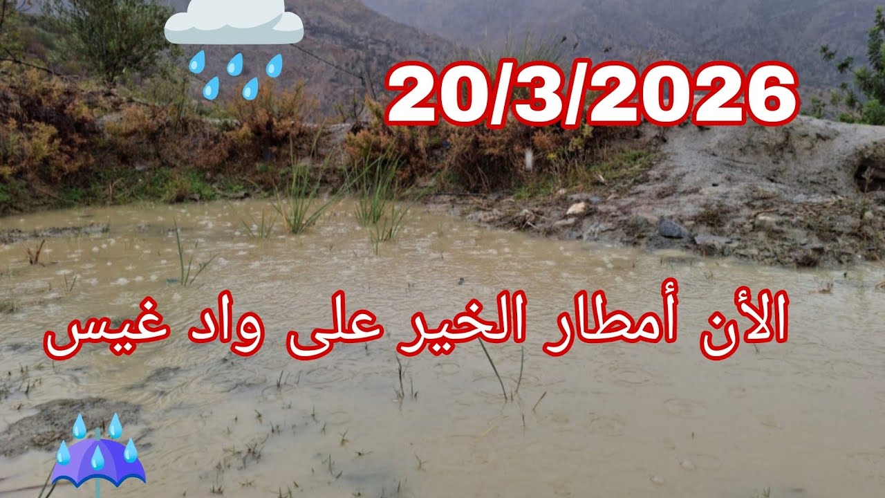 الأن أمطار الخير على واد غيس إقليم الحسيمة 🌧️☔ 20/3/2026