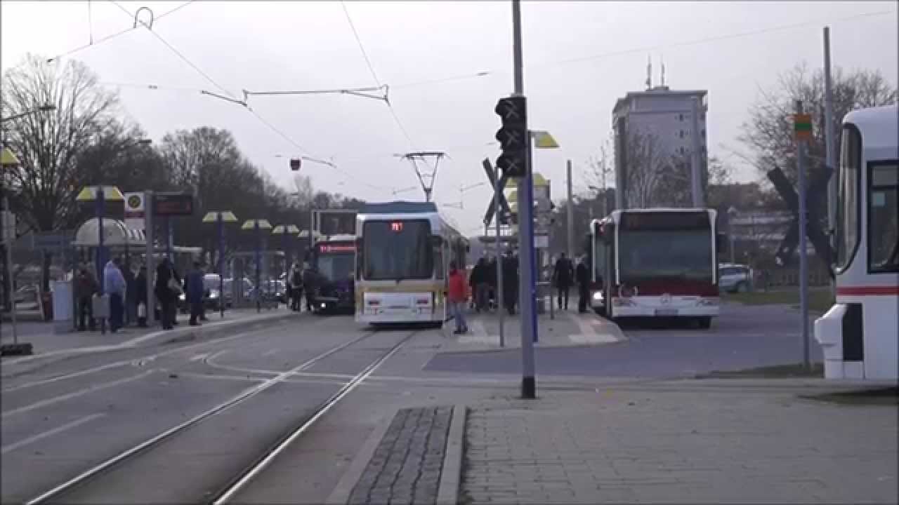 Straßenbahn M1 und SEV 1+2 am Stadion, Braunschweig
