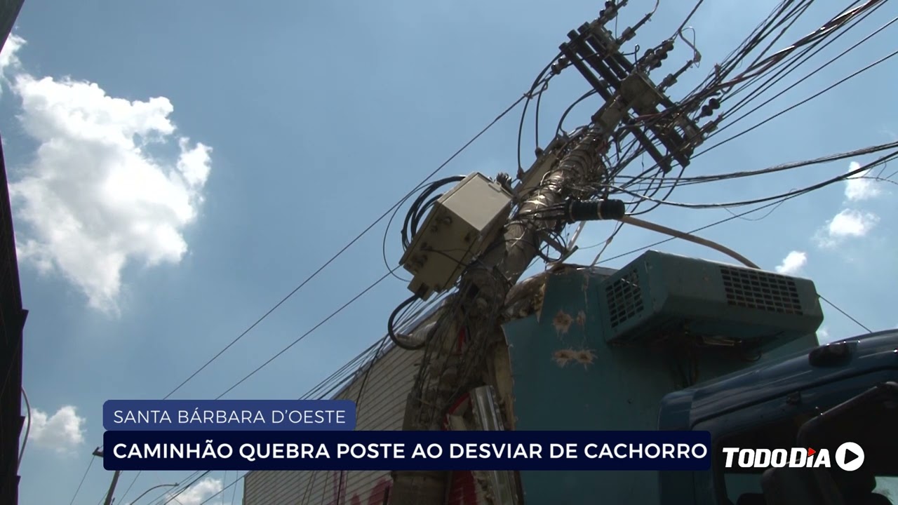 SANTA BÁRBARA D’OESTE: CAMINHÃO QUEBRA POSTE AO DESVIAR DE CACHORRO