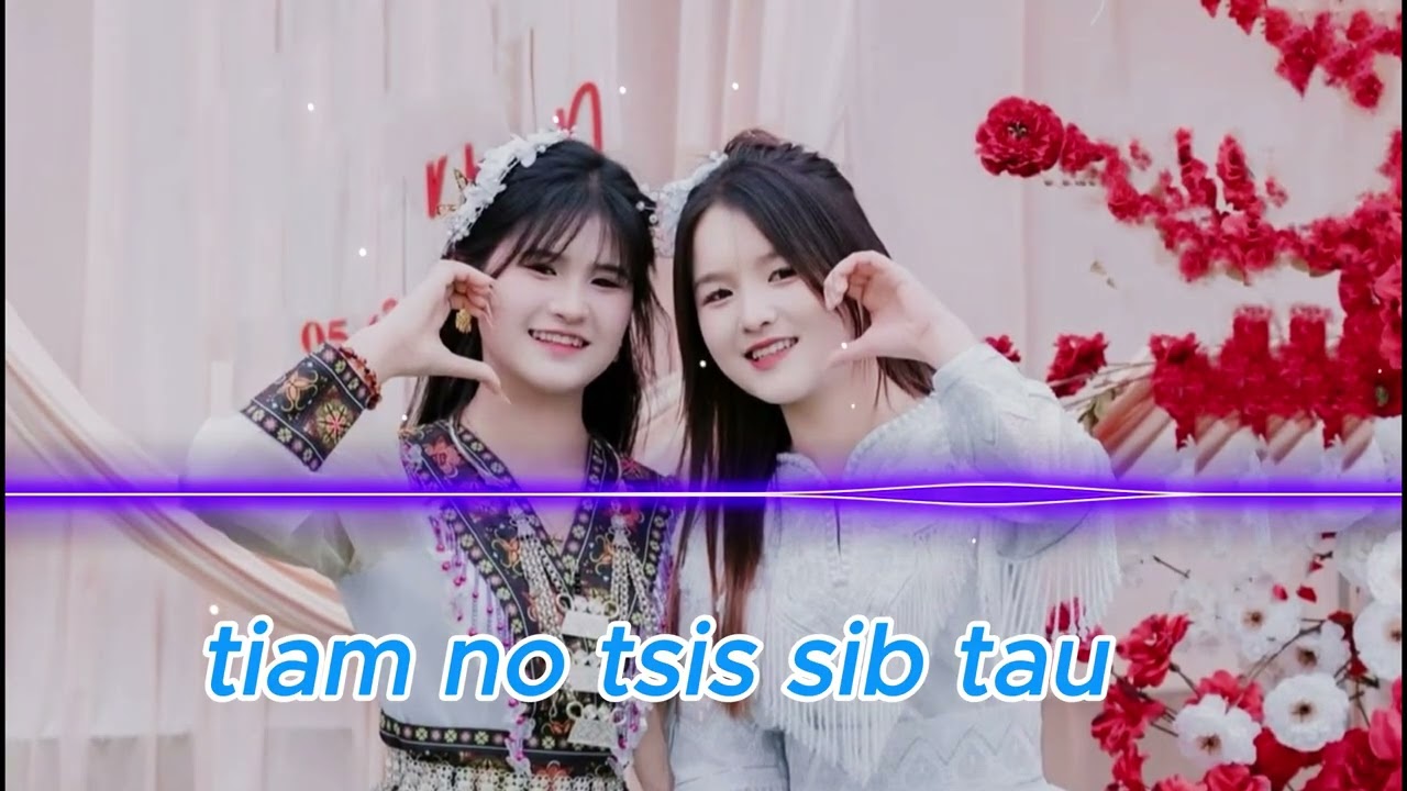 Tiam No Tsis Sib Tau- Cover AI Zoo Noog Heev