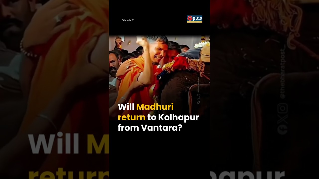 Will Elephant Madhuri Return to Kolhapur? Protests, Court Battle & Vantara&rsquo;s Role Explained | GPlus