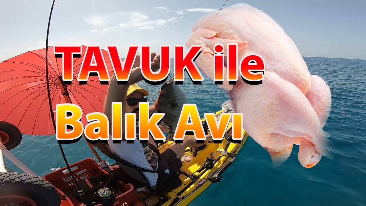 Tavuk ile Balık Avı - Kano ile Balık avı - Alanya Fishing #fishing #fish #chicken #balıkavı #kano