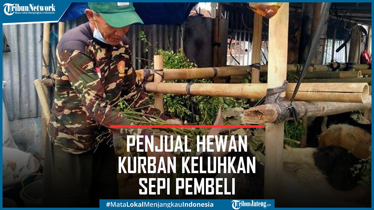 Lapak Hewan Kurban Sepi Pembeli Saat PPKM Darurat