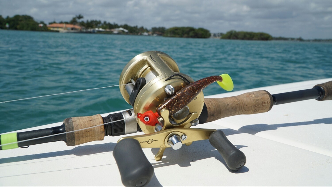 Tiny Swimbaits In Saltwater