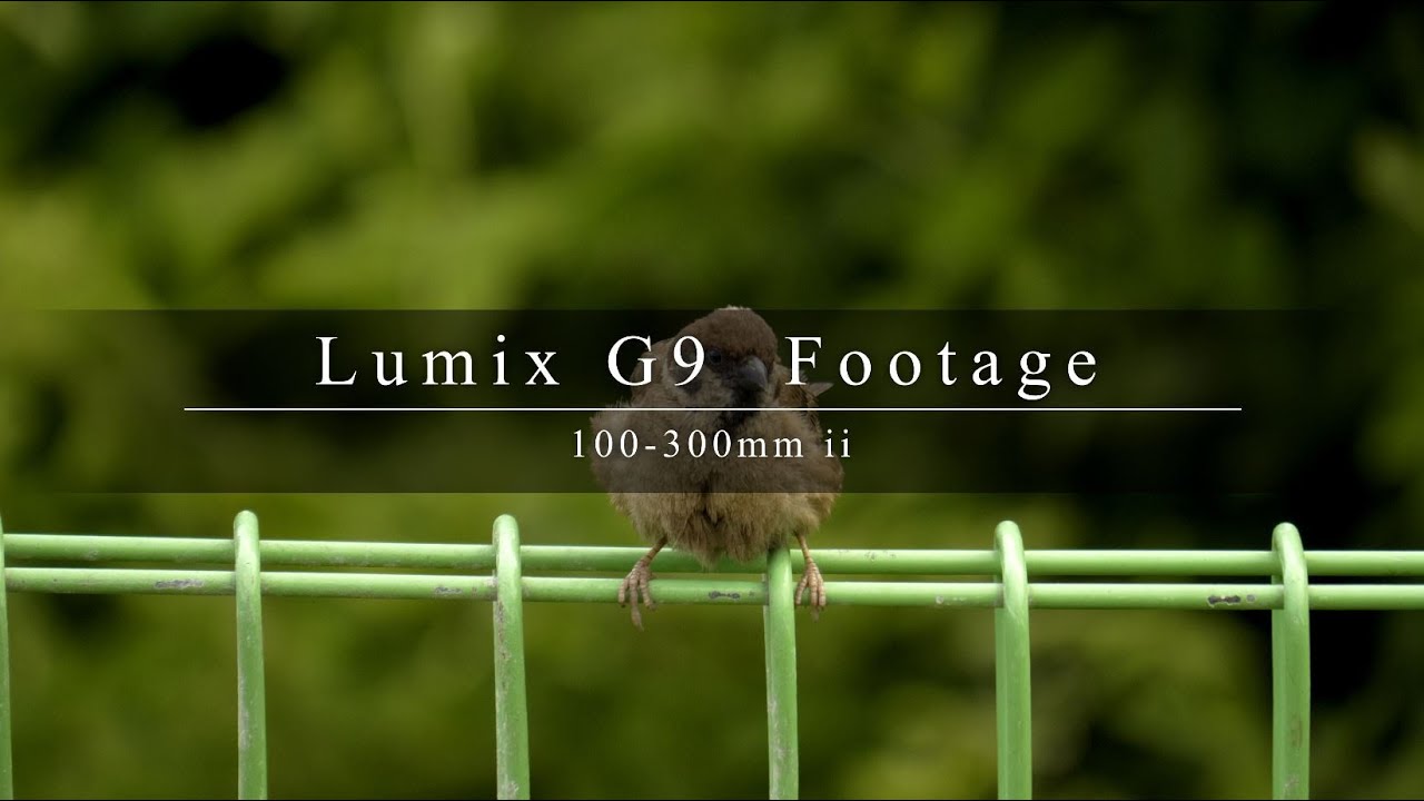 Lumix G9 || HLG Footage 100-300mm ii (4K 30p 4:2:2 10Bit - Color Garde)