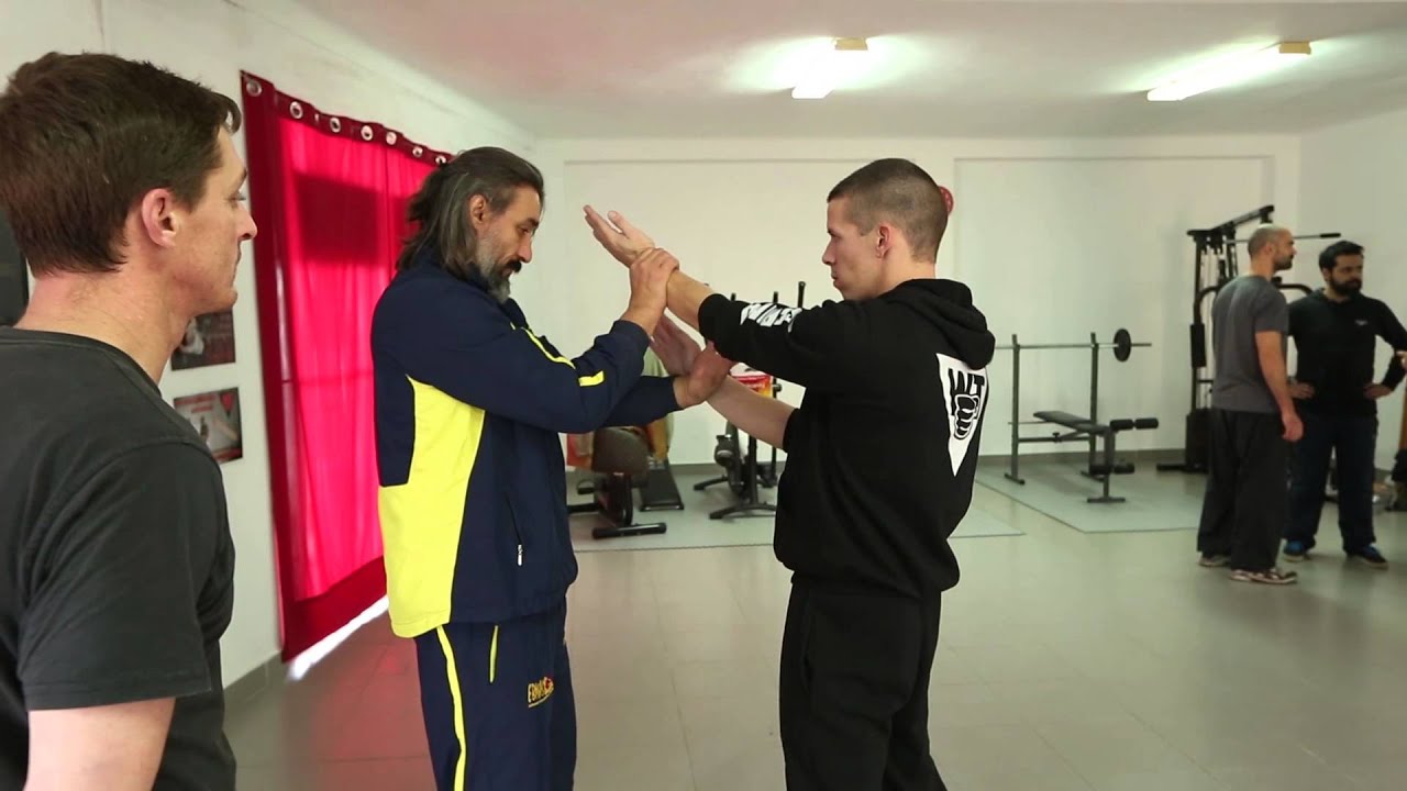 Dai-Sifu Emin Boztepe - Jan 2015 EBMAS SEMINAR Portugal, Évora