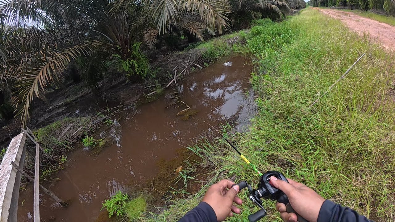 REVIEW DJI OSMO ACTION 5 PRO UNTUK MANCING 