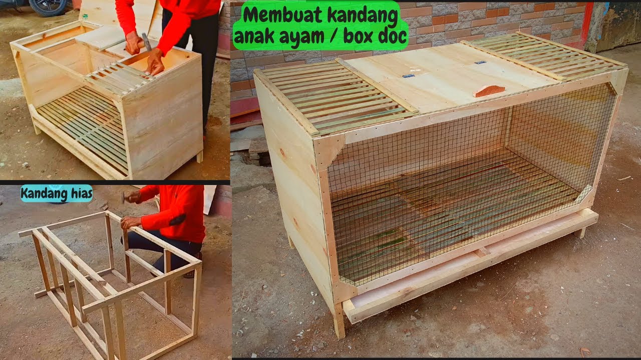 Membuat kandang anak ayam / box DOC, bisa untuk kandang hias