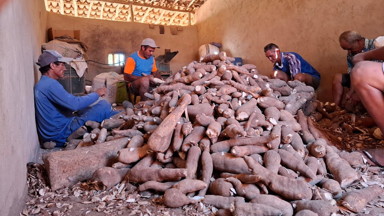 FARINHADA NO ALTO DA SERRA DE ITAPIPOCA CEARÁ UMA CULTURA NORDESTINA