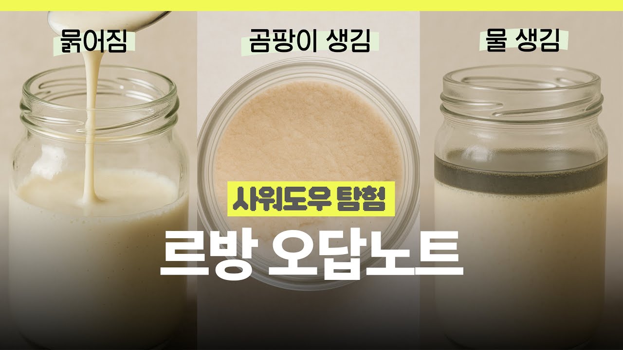 르방 만들기 실패? 이걸 알면 해결됩니다📕르방 오답노트 | 발효종, 사워도우, 르방