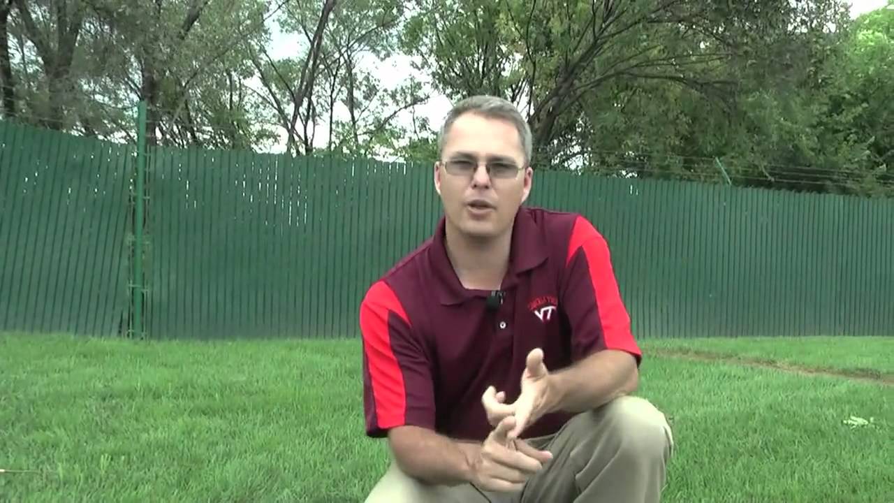Dr. Shawn Askew - Yellow Nutsedge Control