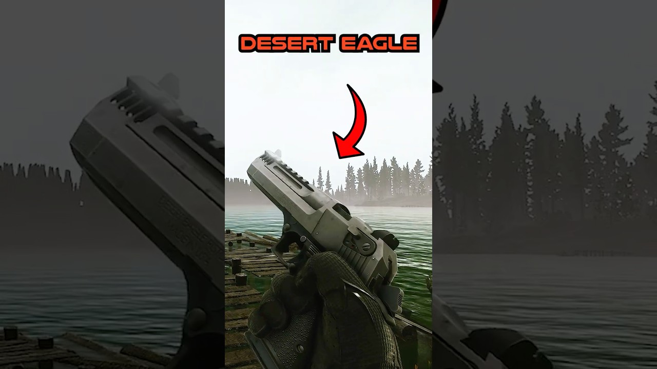 Top 5 DESERT EAGLES in Tarkov