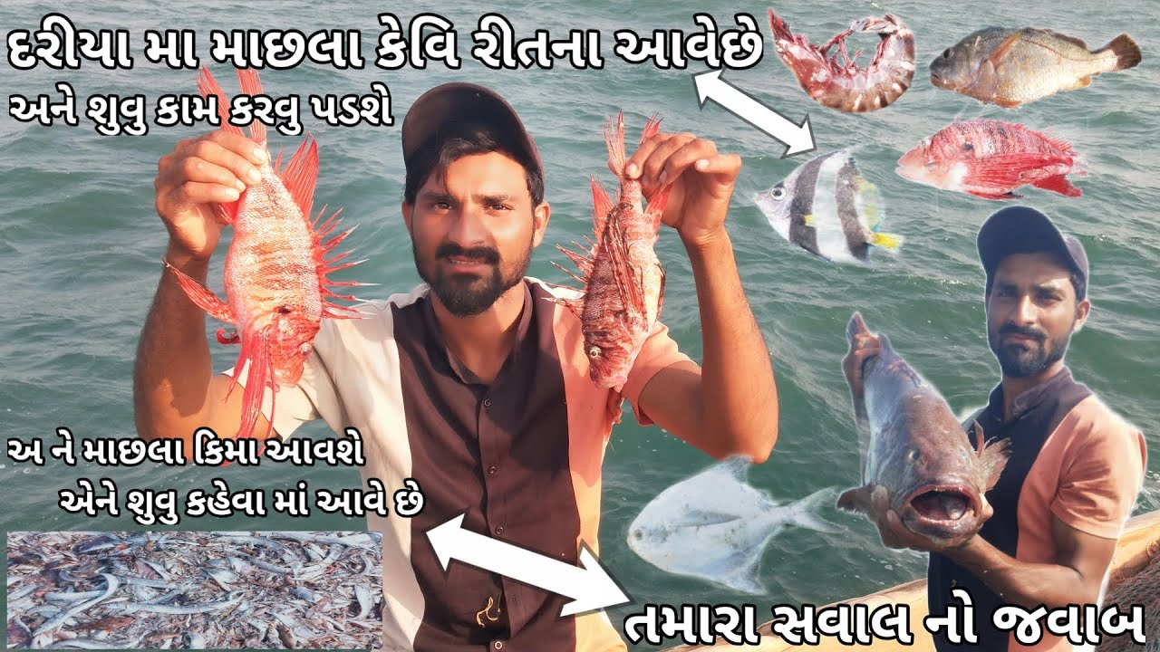 🌊દરિયામાં માછલા કેવી રીતે આવે છે અને જાલી & દોર કેસે ઉઠાતે હૈ ખલાસી ભાઈ🚣🏼  2 બ્લોગ