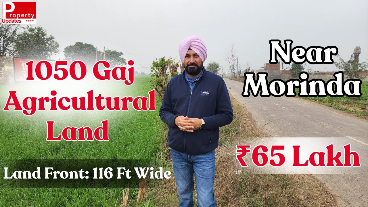 1050 Gaj Agricultural Land for Sale Near Morinda | ₹65 Lakh