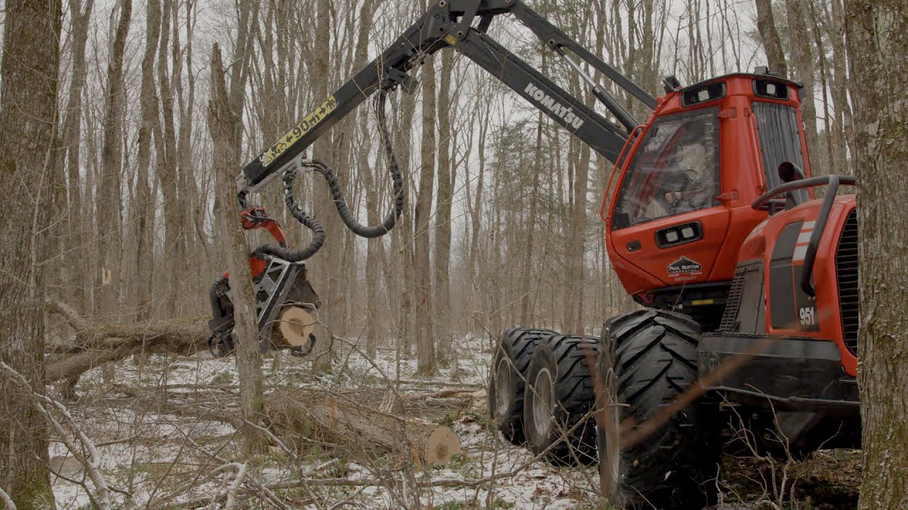 Customer testimonial: Strength and agility of the Komatsu 951 wheeled harvester