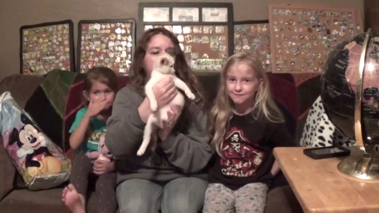 SHANGHAI DISNEY RESORT HAUL      PINS PINS PINS