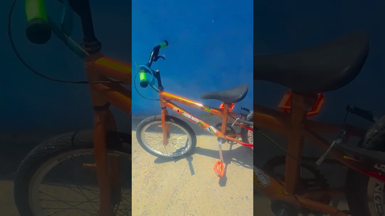 bike aro 20 244